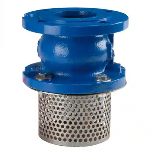 Foot Check Valve
