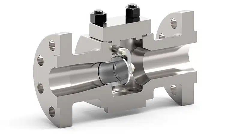 Swing Check Valve